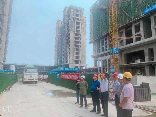 禹州最新爆料,揭秘神秘事件背后的真相