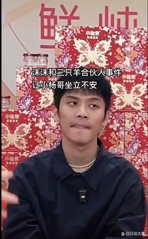 辛巴爆料三只羊最新视频,三只羊最新视频背后的惊人真相