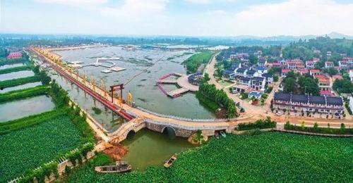 徐州新农人最新爆料,农业现代化新篇章背后的故事